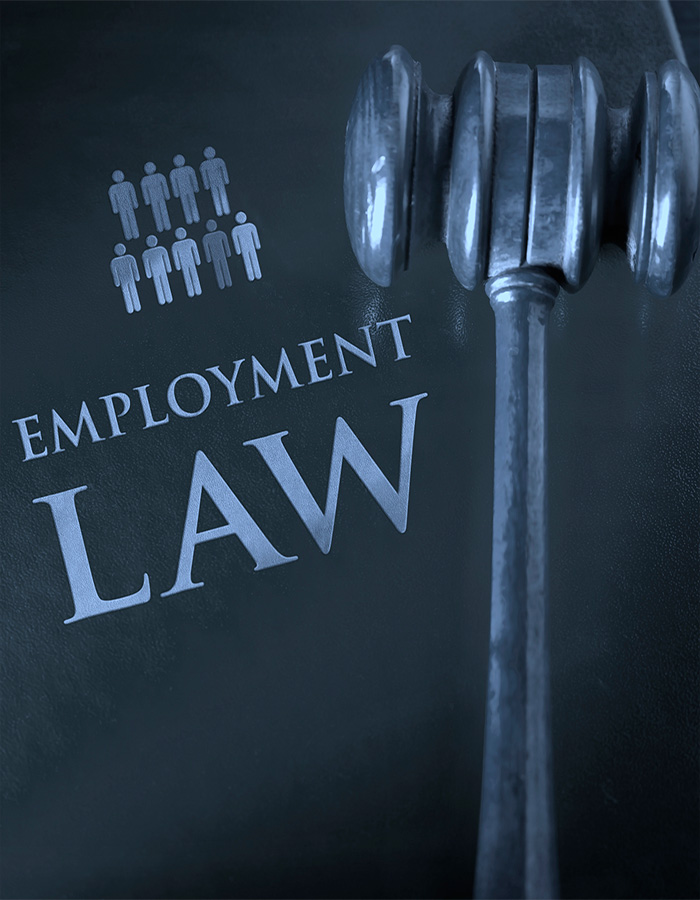 Employment Lawyer Marketing Employment Law Firm SEO PPC