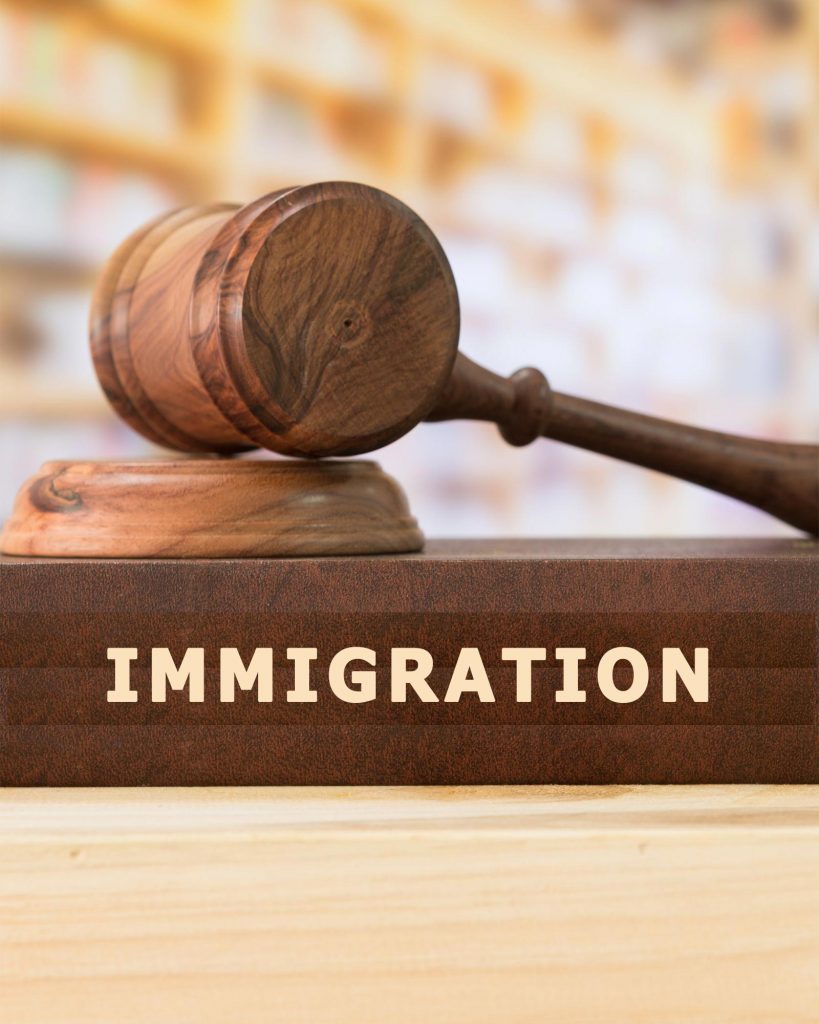 Immigration Lawyer Marketing | Immigration Law Firm SEO \u0026 PPC