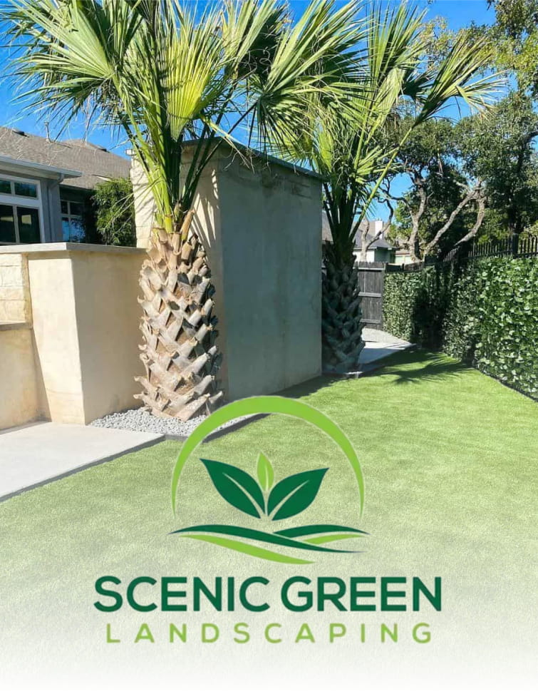 Scenic Green Landscaping logo on a freshly cut lawn with trimmed palm trees.